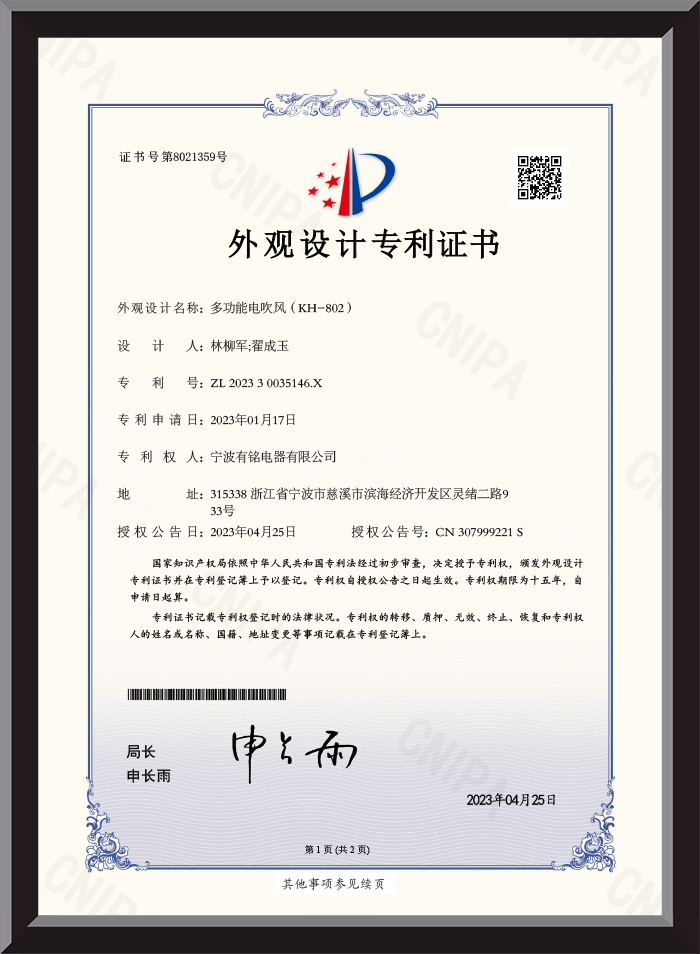 Design Patent